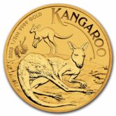 2025 1/2 oz. Gold Australian Kangaroo Coin (BU)